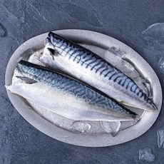 살맛나요 고등어 자반 (냉장), 350g, 1개