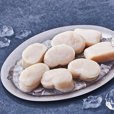산지직송 부산 13번 중매인 관자살 해동 (냉장), 400g, 1개
