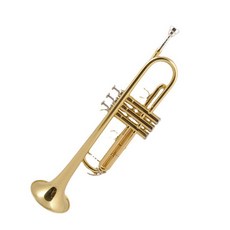 엠비토이즈트럼펫