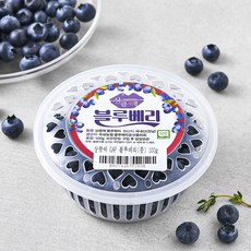 GAP 인증 상큼애 블루베리 중, 100g, 1개