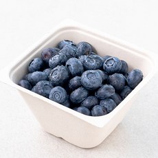 산지직송 아주마 유기농 인증 영동 블루베리, 1팩, 250g