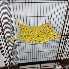 하늘다람쥐집 TOP01