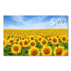 800x500액자
