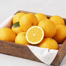 다조은 호주 네이블 오렌지 미니, 1팩, 2kg(11~14입)