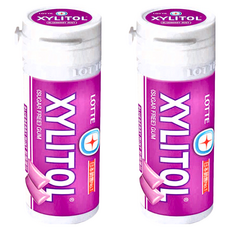 XYLITOL 藍莓薄荷無糖口香糖，口腔清新，健康維持, 26.1g, 2罐