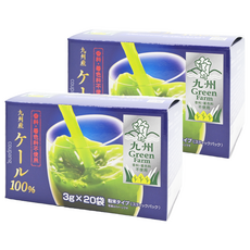 Global Garden 盛花園 日本九州產100%羽衣甘藍菜青汁, 3g x 20入, 無農藥殘留認證, SGS檢驗認證, 富含膳食纖維, 60g, 2盒