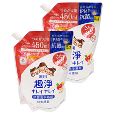 LION 獅王 趣淨 洗手慕斯補充包 清新果香, 450ml, 2包