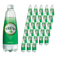 LOTTE 樂天 TREVI 氣泡水 萊姆口味 500ml 20瓶, 60瓶