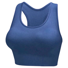 Homegym 歐美高強度挖背運動內衣, XL(75A~80B), 經典藏藍, XL(75A~80B)