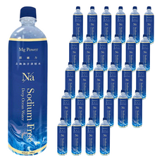 HOME GUARDIAN 守護家 Mg Power 鎂礦力 海洋深層水 850ml x 20入, 40瓶