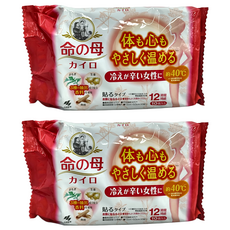命之母 黏貼式漢方暖暖包，溫熱效果持續12小時，艾草肉桂生薑香料，舒緩生理期不適, 2包