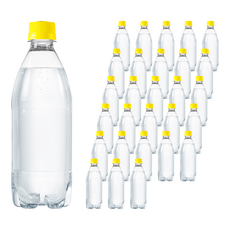 Tamsaa 無標籤氣泡水 檸檬風味, 500ml, 120瓶