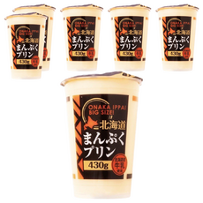 北海道大杯布丁, 430g, 6個