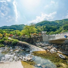 애견글램핑