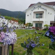 욕지도