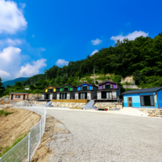 아기배냇머리붓