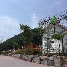 청도운문사대웅보전꽃문살