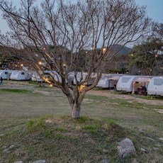 [서산시] 서산클럽아일랜드글램핑카라반