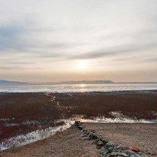 오클랜드민박