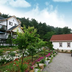 평창휘닉스파크블루캐니언