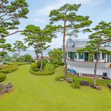 태안신진항오징어