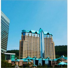 여행 TOP01