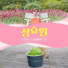 오설록녹차아이스크림