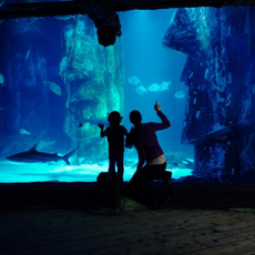 씨라이프부산아쿠아리움