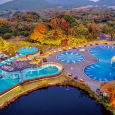 [제주] 제주 에코랜드 호텔(5성급)