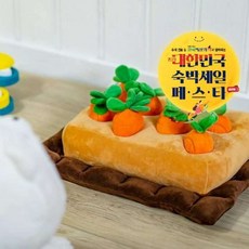 강릉애견동반숙소 TOP01