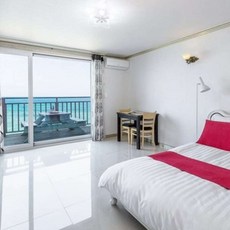 코스트코팬히터