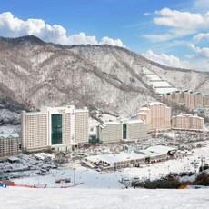 [홍천군] 소노펠리체 비발디파크