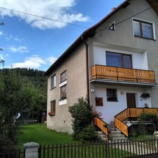 오라리모저코트