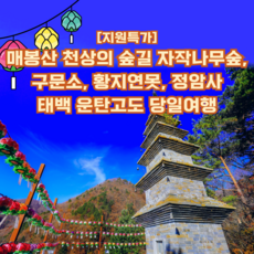 [태백] [지원특가] 태백 운탄고도 당일여행(매봉산 자작나무숲, 구문소, 황지연못, 정암사)