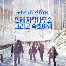 [강원도] ★2월17일 출발 확정★  인제자작나무숲+속초중앙시장+속초해수욕장