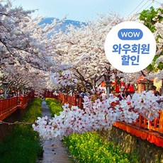 추천10진해벚꽃