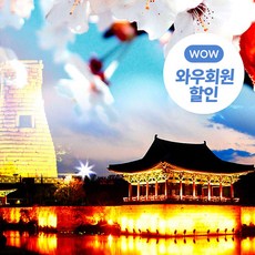 경주벚꽃 추천 1등 제품