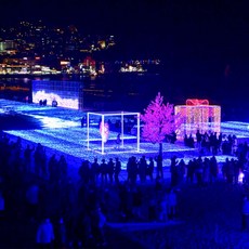 [부산] 부산 해운대빛축제(12.2~1.31)+자갈치시장+흰여울문화마을+태종대 역무박여행/서울경기出