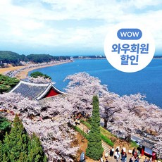 추천3서울벚꽃