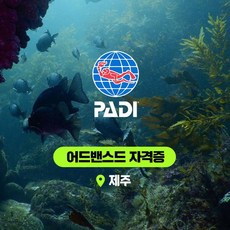 제주도스킨스쿠버