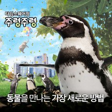 [서울] 주렁주렁 실내동물원 입장권_타임스퀘어점