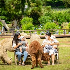 제주도잠수함체험