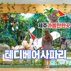 제주브이패스