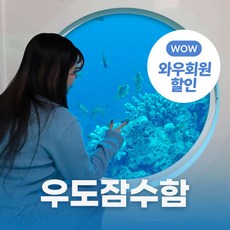 [제주] (♥추가혜택+1♥) 제주 우도잠수함 승선권 상품 이미지