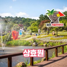 휴애리수국축제