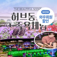 [서귀동부] |제주|허브동산+족욕체험