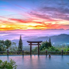 [달랏] 낭만의 도시 달랏 알뜰 데이투어 (기차역/여름궁전/죽림선사/클레이터널/랑비앙산)