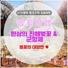 추천6진해벚꽃축제