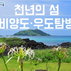 [제주] 천년의섬 비양도 우도투어 - 사려니숲길/힐링족욕체험/카멜리아힐/식사4식/제주도여행