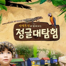  강원 삼척 정글대탐험 하이원추추파크점
